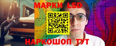 кокс Донской