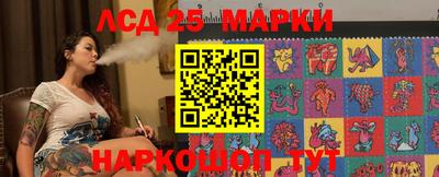 спиды Дубна